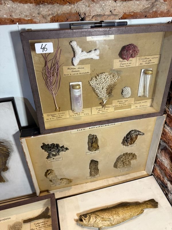 Item 851800 - Image 0