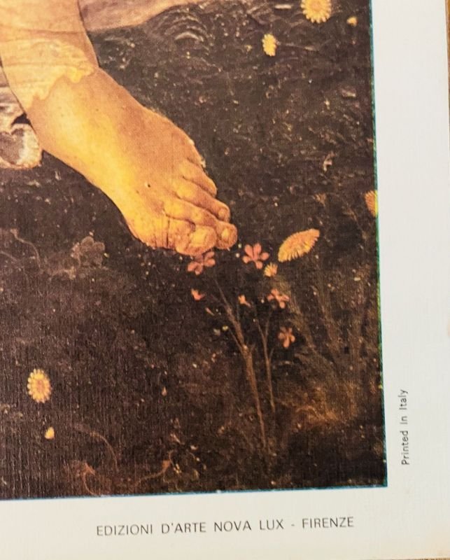 Item 890052 - Image 1