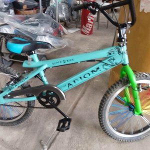 Lote siguiente: Bicicleta Infantil Celeste con Detalles en Verde y Azul
