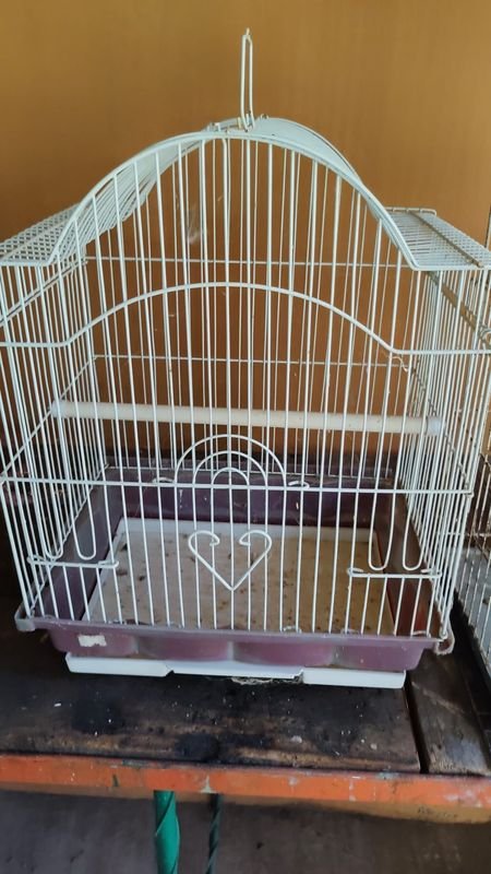 Jaulas para Pájaros - Lote de 2 Jaulas Lindas - imagen 3