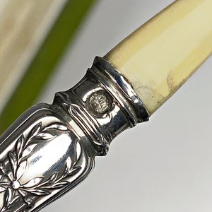 Cuchara Antigua de Plata Francesa con Mango de Marfil y Estuche Original - imagen 4