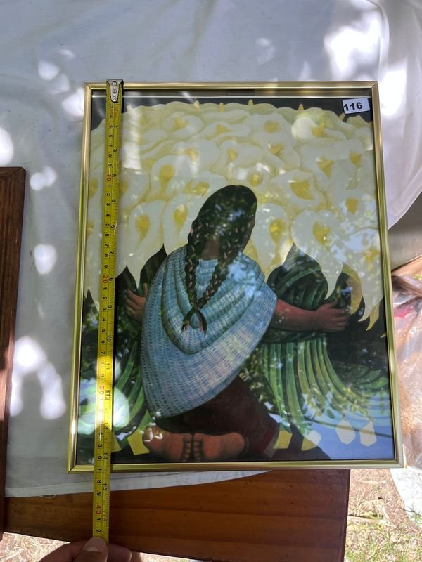 Item 869516 - Image 1