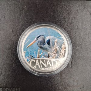 Moneda de Plata Canadiense "Gran Garza Azul" 150 Aniversario - $10 - imagen 9