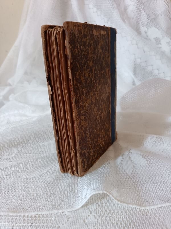 Libro Antiguo 'Resumen de la Historia del Uruguay' de Orestes Araújo - imagen 8