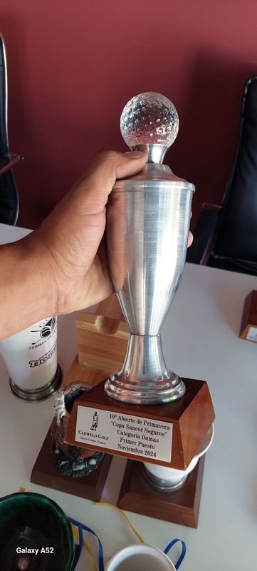 Item 878216 - Image 7