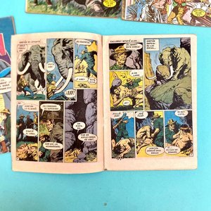 Lote de 4 Cómics Clásicos de Editorial Novaro: Turok, Gene Autry, Bat-Man y Tarzán (Años 70) - imagen 3