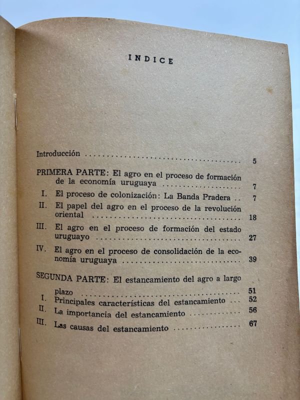 Latifundio y crisis agraria en Uruguay: Un análisis detallado - imagen 4
