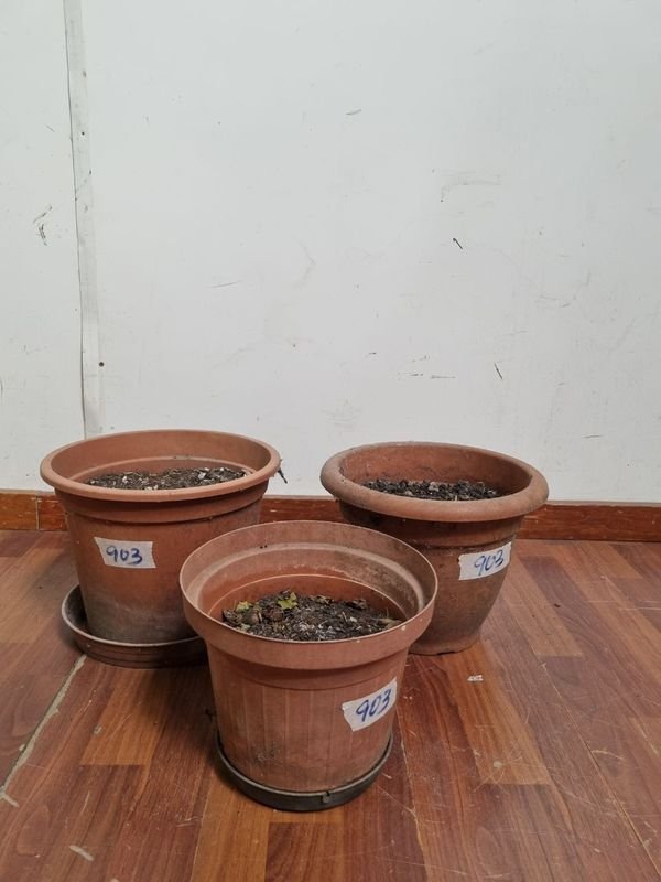 Lote anterior: Macetas plásticas de tres