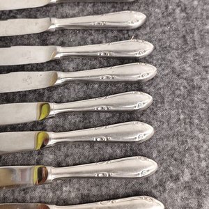 Set de 8 Cuchillos de Acero Inoxidable Marca Wolf - imagen 3
