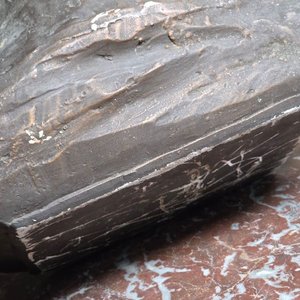 Busto de Yeso de José Gervasio Artigas, Altura 42 cm - imagen 4