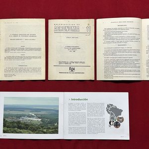 Informe Anual UPM Forestal Oriental 2016 y Libros Agronomía Uruguay - imagen 4
