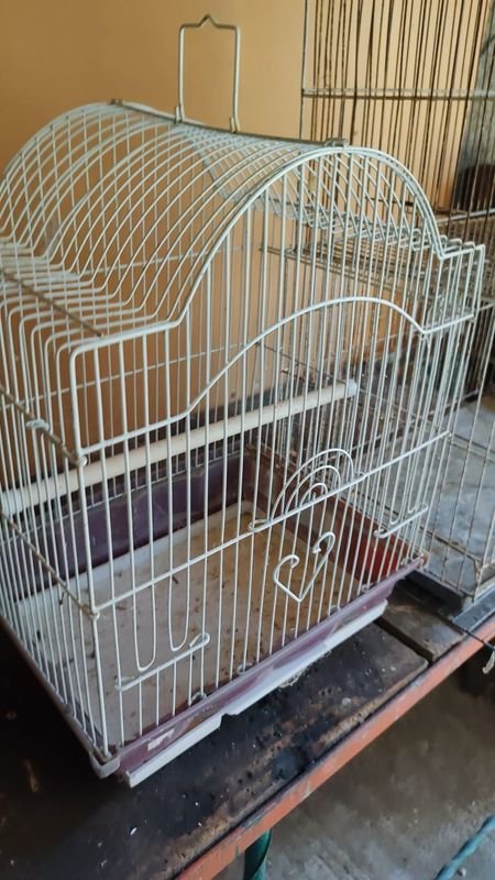 Jaulas para Pájaros - Lote de 2 Jaulas Lindas - imagen 4