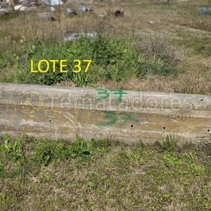 Lote de Tuberías de Concreto para Construcción - imagen 3