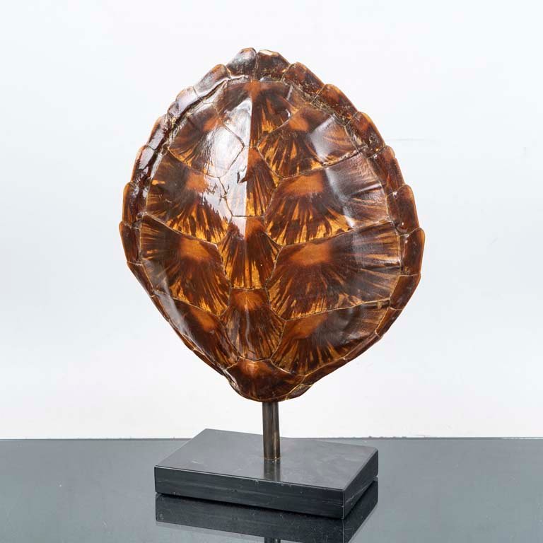 Item 2117208 - Image 0