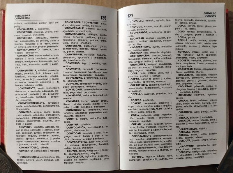 DICCIONARIO DE SINONIMOS Y LITERATURA URUGUAYA - imagen 4