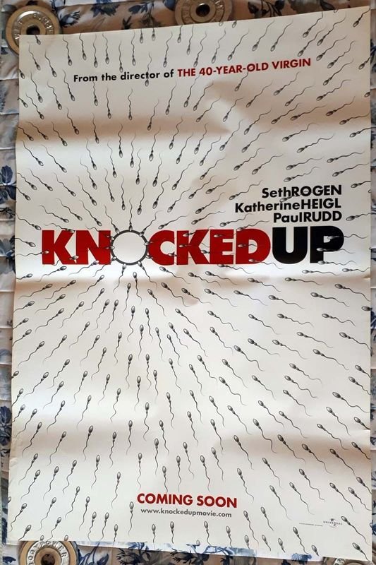 Poster Original Cine "Ligeramente Embarazada" (Knocked Up) Seth Rogen 2007 - imagen 1