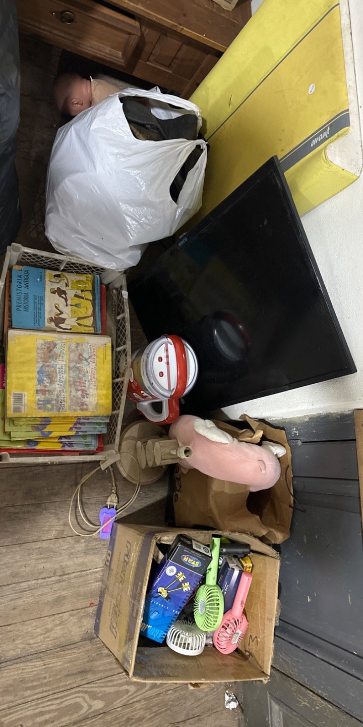 Lote Variado: Televisor, Ventiladores, Libros y Más