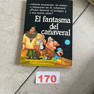 El Fantasma del Cañaveral de Graciela Falbo - Novela Infantil - imagen 1