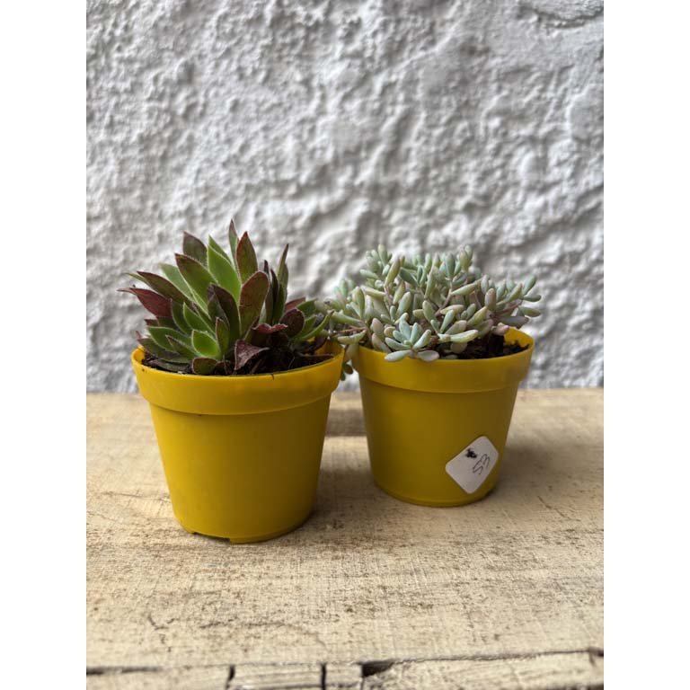 Item 2113553 - Image 0