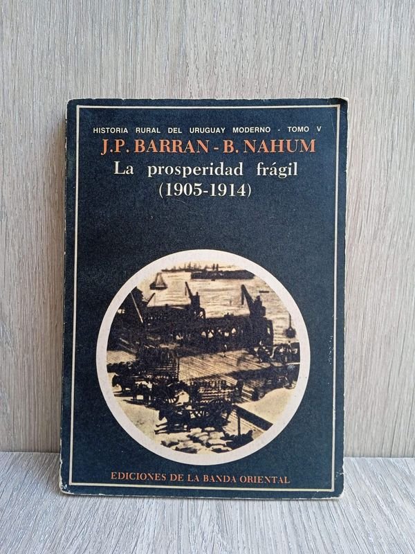 Lote anterior: Libro de Nahum y Barran: La prosperidad frágil (1905-1914)