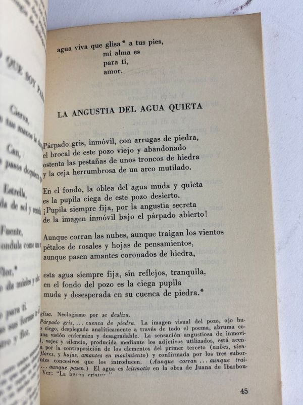 Colección de libros en español de autores latinoamericanos - imagen 19