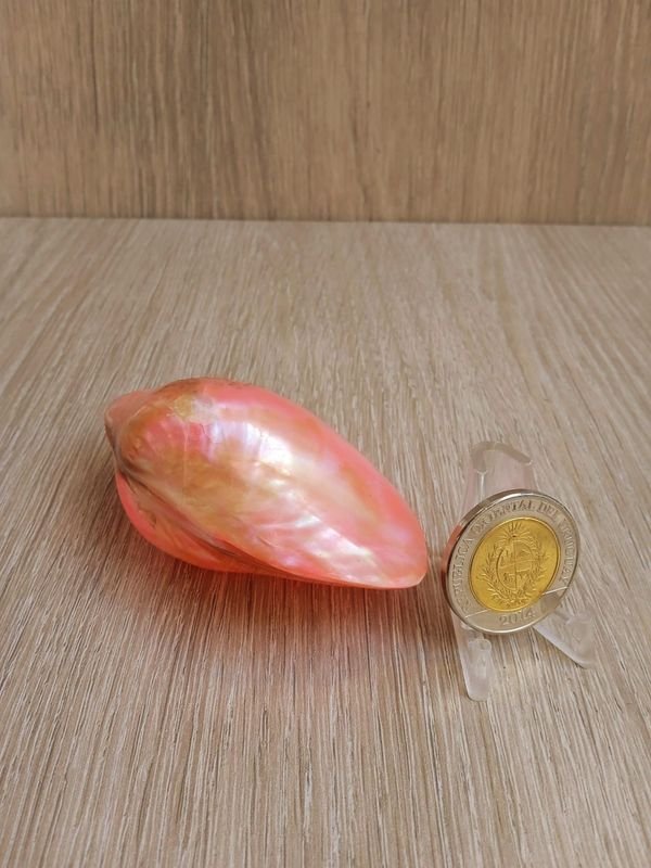 Item 884183 - Image 1