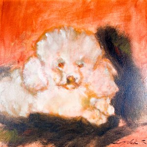 Cuadro Óleo sobre Tela: Caniche Blanco, Marco Dorado - imagen 2