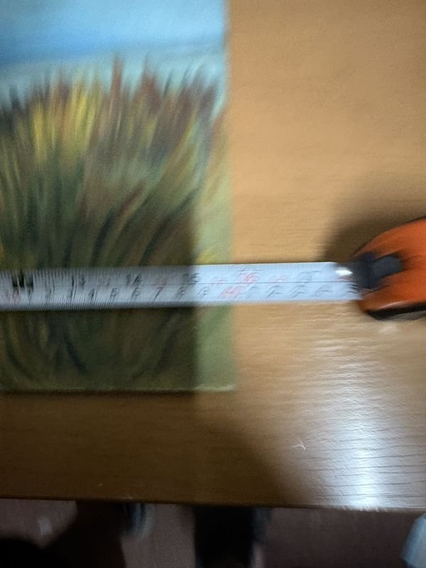 Item 876006 - Image 2