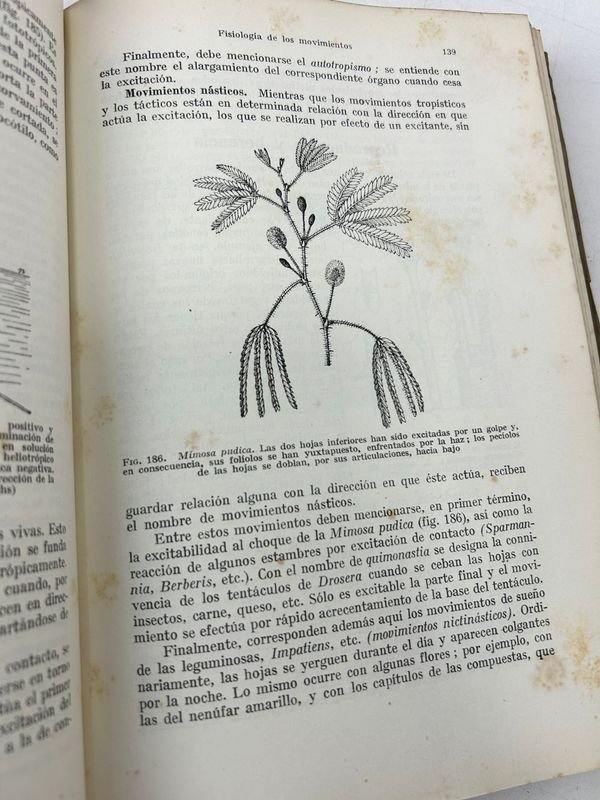 Libros de Botánica: Curso General Aplicado y Flora de la Patria - imagen 17