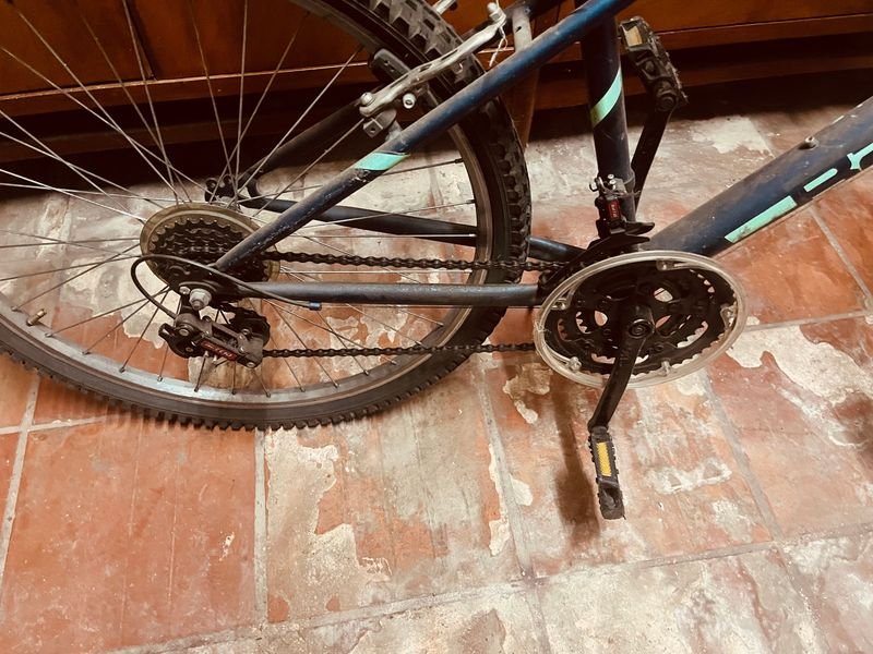 Bicicleta de Montaña Baccio Alpina Rod 26 - imagen 6
