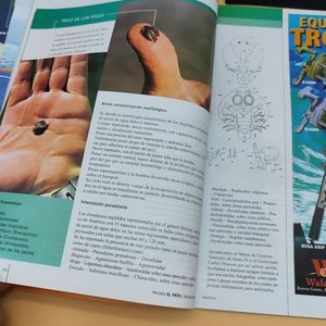 Lote de 4 Revistas de Pesca y Náutica: Panorama de Pesca, El Pato, Catálogos Casa Japón y Zodiac - imagen 9