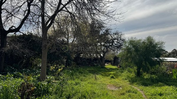 Terreno con vegetación y construcciones