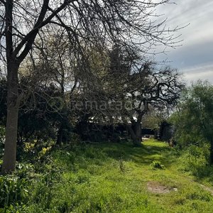 Lote anterior: Terreno con vegetación y construcciones