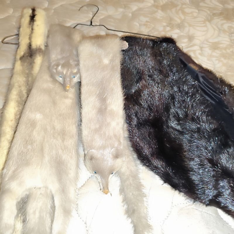 Item 880336 - Image 2