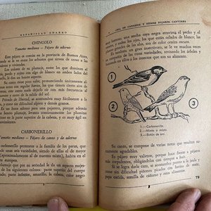 Libro "Cria del Canario y Demás Pájaros Cantores y de Adorno" por Estanislao Guarro - imagen 5