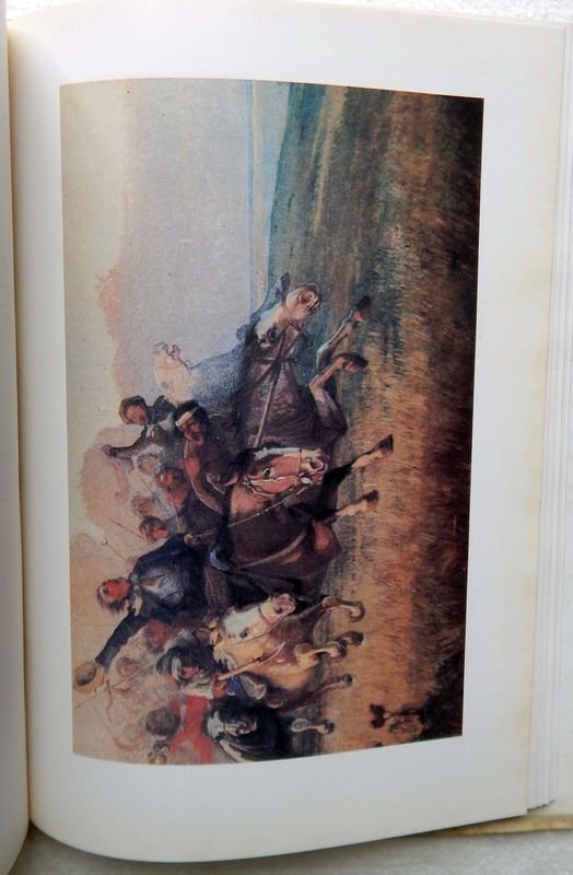 Item 853825 - Image 8