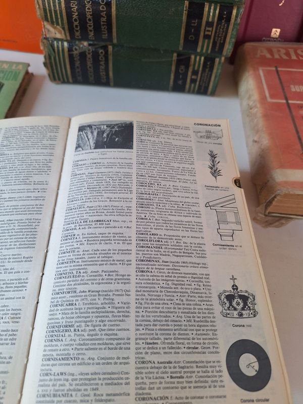 Colección de libros enciclopédicos y manuales - imagen 6