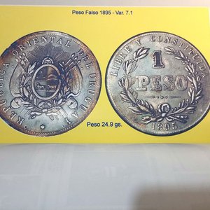 Libro "El Peso Falso en las Monedas de 1895 de la República Oriental del Uruguay" con dedicatoria y firma del autor - imagen 5