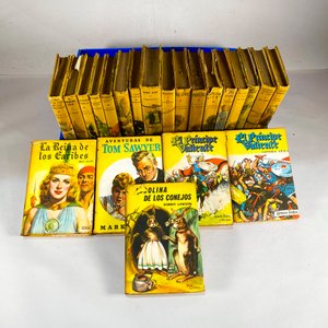 Lote anterior: Lote de Libros de Cuentos Clásicos Infantiles y Juveniles