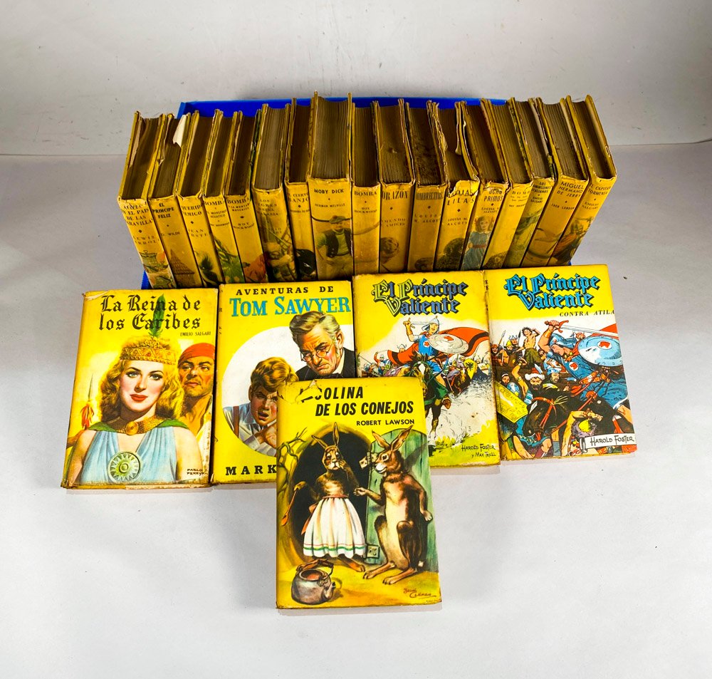 Lote de Libros de Cuentos Clásicos Infantiles y Juveniles