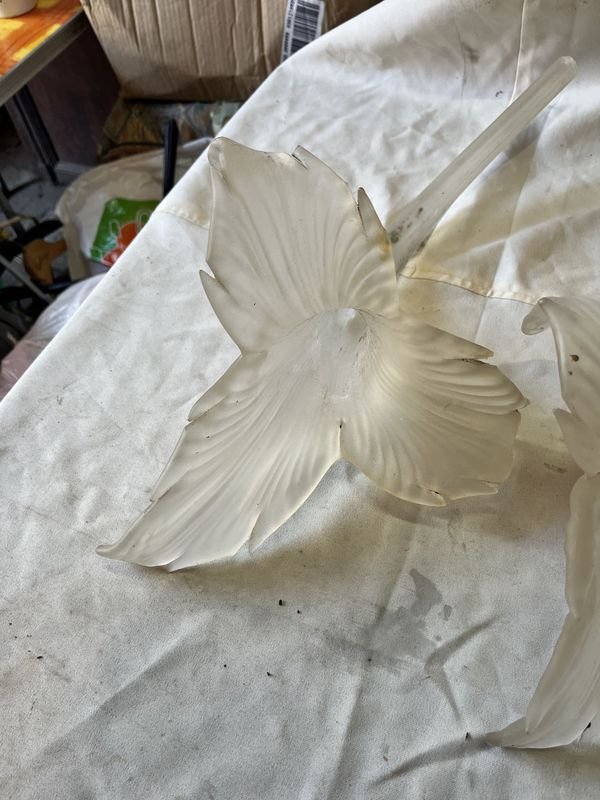 Item 883979 - Image 2