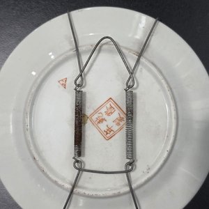 Lote de 5 Platos Decorativos Orientales y Brasileros - imagen 15