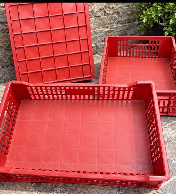 Lote de 3 Cajones Plásticos Rojos Grandes