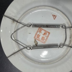 Lote de 5 Platos Decorativos Orientales y Brasileros - imagen 3