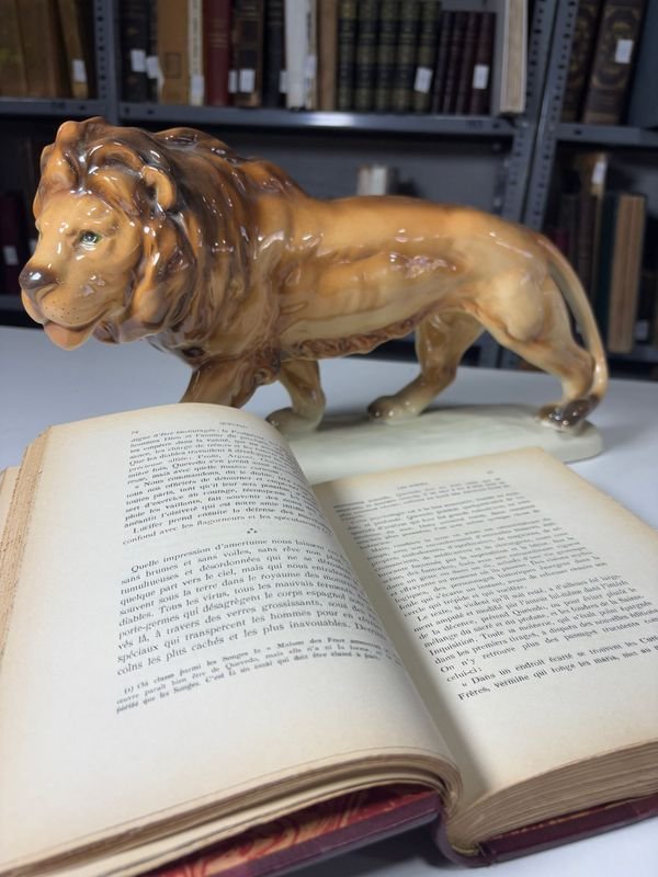 Libro y Figurita de León en Cerámica - imagen 4