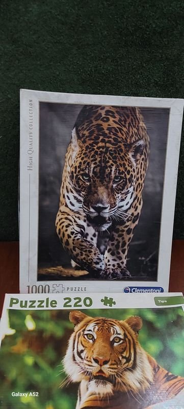 Item 900889 - Image 2