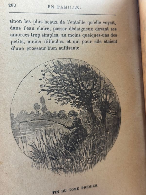 Libro clásico de Hector Malot - Par de tomos En familia - imagen 4