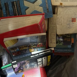 Lote siguiente: Bolsón con Libros Variados
