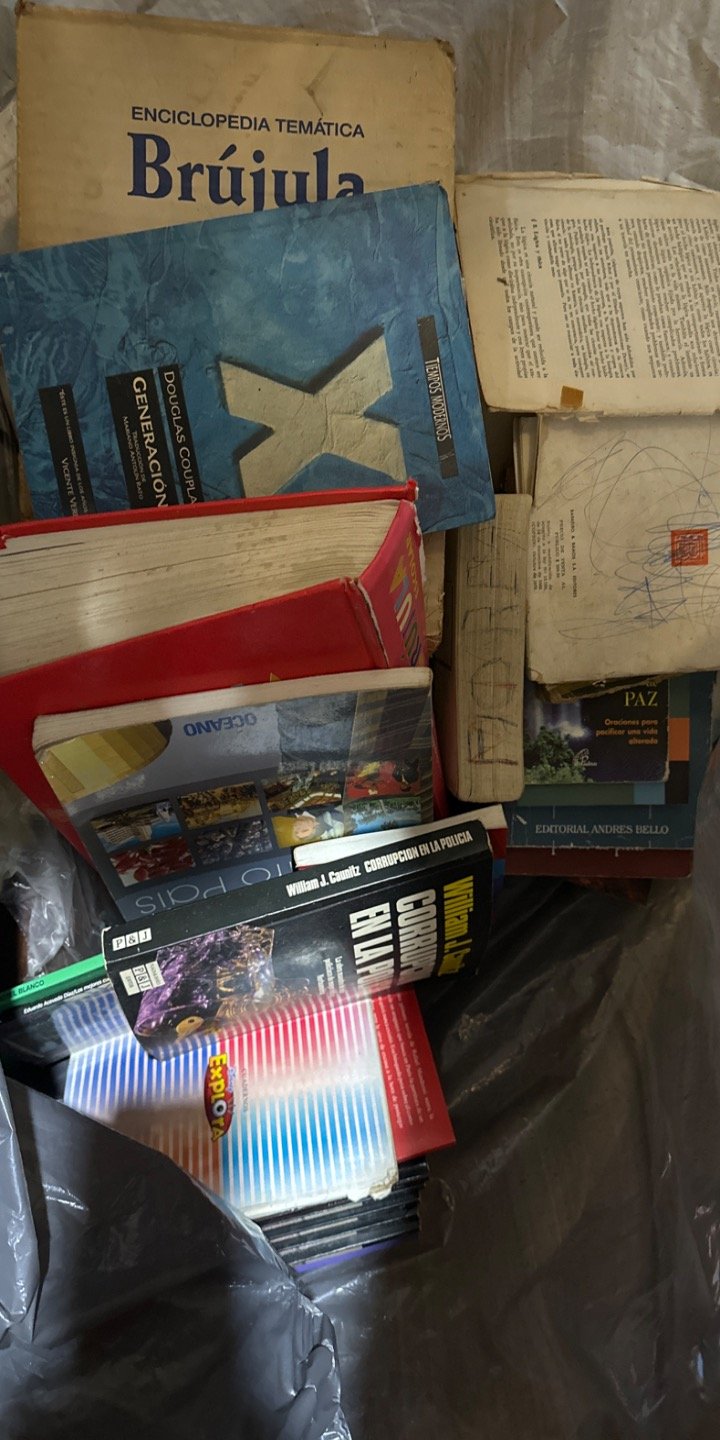 Bolsón con Libros Variados
