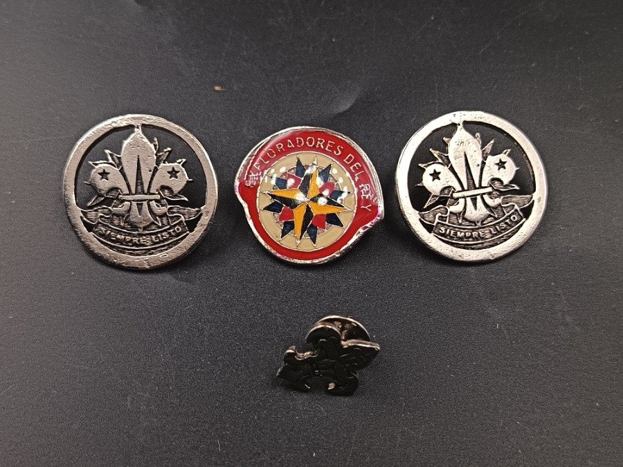 Lote de Insignias y Pines Boy Scouts